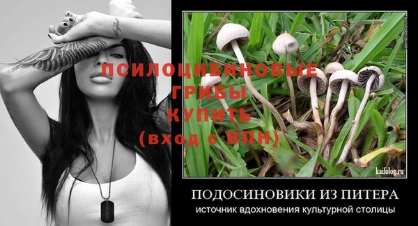 тгк Верея