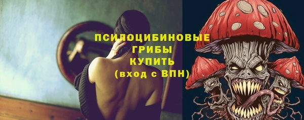 гидропоника Верхний Тагил