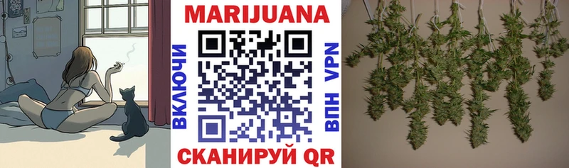 Бошки Шишки план  наркотики  Северодвинск 